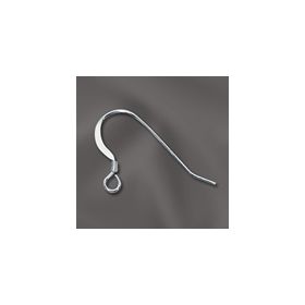 S.S Earwire w/coil